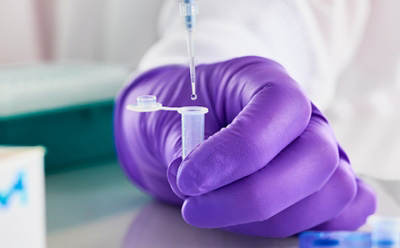 Purple glove and pipette Purple glove and pipette