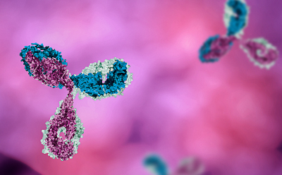 A colorful 3D illustration of a monoclonal antibody, highlighting its distinct regions and structure against a soft-focus background.