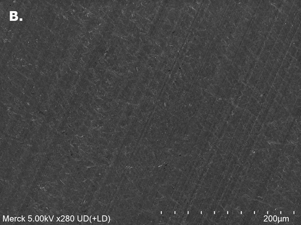 SEM image 1.0 M LiPF₆ Scanning electron microscopy (SEM) image of aluminum (Al) foil surface with no clear signs of localized corrosion after exposure to 1.0 M LiPF₆.