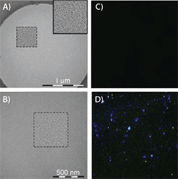 PEGナノ粒子の透過型電子顕微鏡(TEM)画像 PEGナノ粒子の透過型電子顕微鏡(TEM)画像