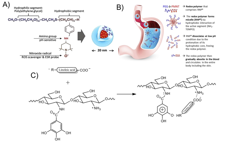 Chemical structure of pH-sensitive antioxidant polymer nanoparticles Chemical structure of pH-sensitive antioxidan polymer nanoparticles including a hydropohilic segment (poly(ethylene glycol) PEG), a pH-sensive amino group, and a ROS scavenger (nitroxide radical)