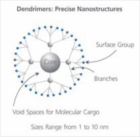 Schematic representation of a G2 dendrimer with 3-fold branching. PAMAM dendrimers have 2-fold branching, resulting in 2x increase in number of surface groups with each generation, G. Schematic representation of a G2 dendrimer with 3-fold branching. PAMAM dendrimers have 2-fold branching, resulting in 2x increase in number of surface groups with each generation, G.
