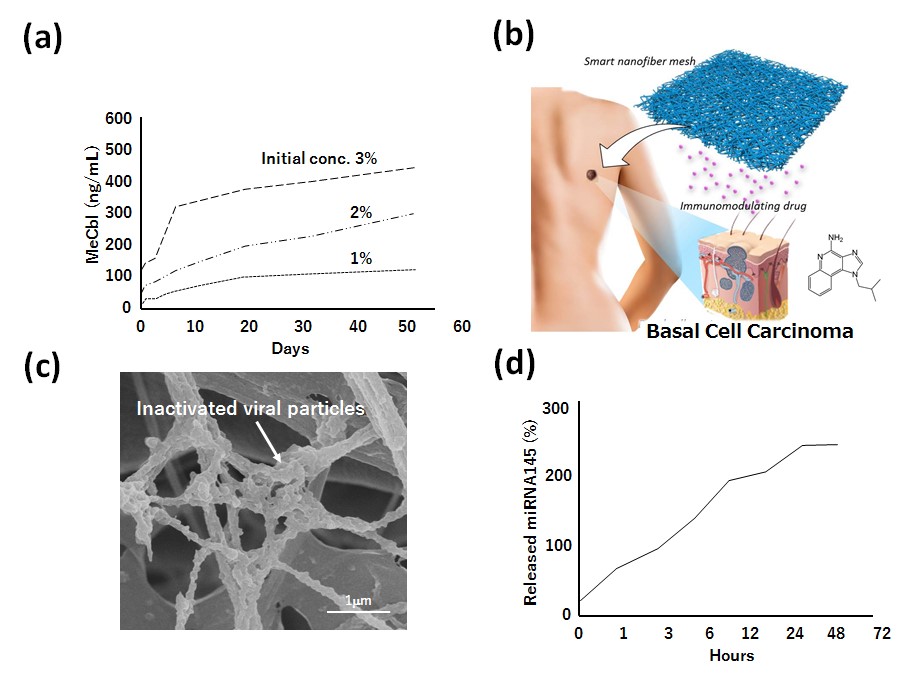 Smart Nanofiber Meshes as a Local Drug Delivery Platform 徐放性ナノファイバーメッシュ
