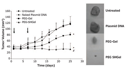 Highlighted nanocarrier example, thiolated and non-thiolated PEGylated type B gelatin nanocarriers Figure 5. Highlighted nanocarrier example, thiolated and non-thiolated PEGylated type B gelatin nanocarriers loaded with pDNA encoding an anti-angiogenic agent stopped tumor growth for 20 days after intravenous administration in mice bearing orthotopic MDA-MB-435 breast adenocarcinoma xenografts. Reprinted with permission from Macmillan Publishers Ltd: Gene Therapy (Reference 17), copyright (2007).