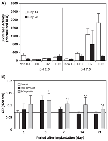 Period after implantation Collagen-mediated naked pDNA delivery