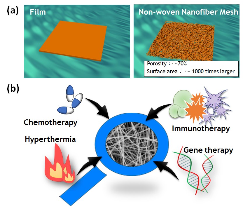 Smart Nanofiber Meshes as a Local Drug Delivery Platform フィルム及びナノファイバーメッシュの概略
