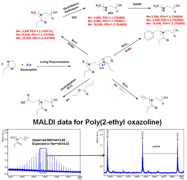Polyoxazolines and Linear polyethylenimines Polyoxazolines and Linear polyethylenimines