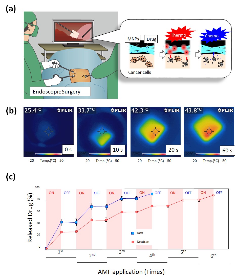 Professor Mitsuhiro Ebara provides insights on several types of smart nanofiber mesh systems that have been explored for different drug delivery purposes. 温度応答性ファイバーメッシュ