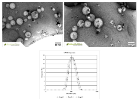 Use of Iron Oxide Incorporated Conjugated Polymer Nanoparticles for Bioimaging CPNのTEM画像とサイズ分布