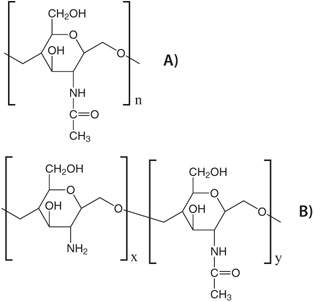 Chemical structure of chitin and chitosan. Chemical structure of A) chitin and B) chitosan.