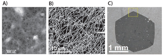 CNTとAgNWネットワークのAFM、SEM画像、グラフェンフレークのSEM画像 CNTとAgNWネットワークのAFM、SEM画像、グラフェンフレークのSEM画像