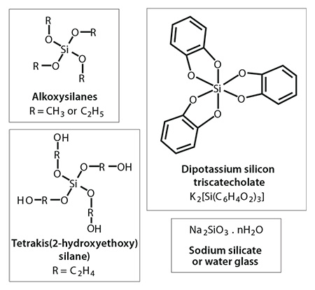 Chemistries of silica precursors typically used in bio-inspired silica synthesis. Chemistries of silica precursors typically used in bio-inspired silica synthesis.
