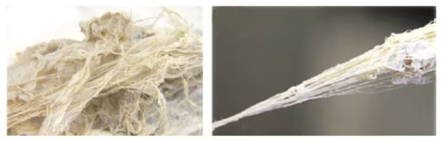 Fibril Materials Color image shows wispy, beige fibril clusters on the left and a thin, stretched yarn-like bundle drawn from the fibers on the right, both set against neutral backgrounds.