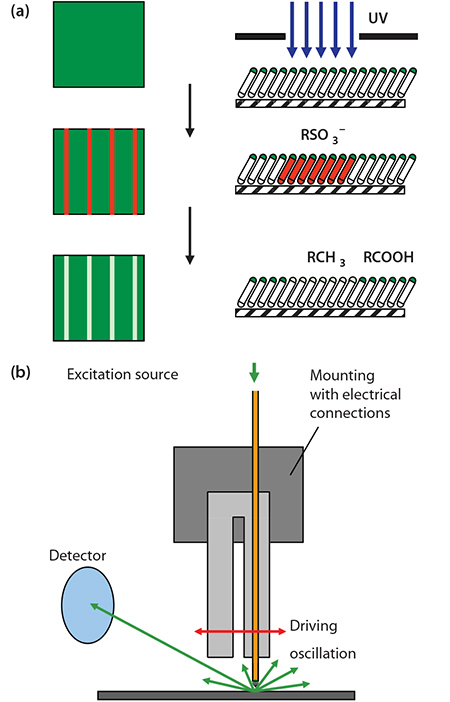 schematic-diagram-showing-the-photopatterning 金表面上のアルキルチオラートSAMの概略