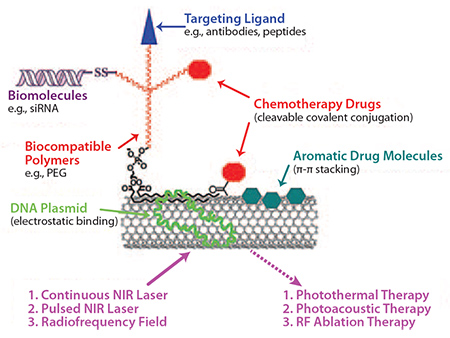 Schematic strategies of SWNTs-based drug-delivery and cancer therapy.