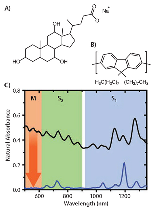 (A）コール酸ナトリウムおよび(B）PFOの化学構造。（C）コール酸ナトリウムおよびPFO溶液から超音波処理で単離されたSWCNTの吸収スペクトル。