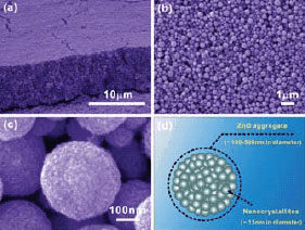 SEM images of ZnO film with aggregates synthesized at 160 °C ZnO膜のSEM画像
