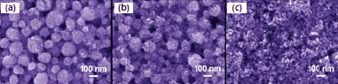 SEM images of ZnO films with synthesis temperature ZnO膜のSEM画像