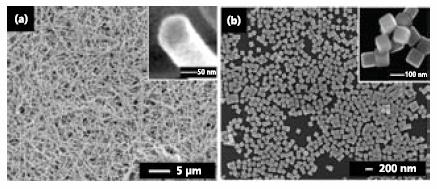 ポリオールプロセスにより合成された銀ナノ構造体