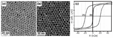Transmission electron microscopy (TEM) images Transmission electron microscopy (TEM) images