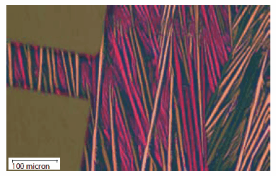 A device fabricated from TIPS pentacene 3c, showing highly oriented growth of the semiconductor. TIPSペンタセンを用いて製造したデバイス