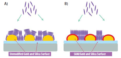 Precise nanoparticles