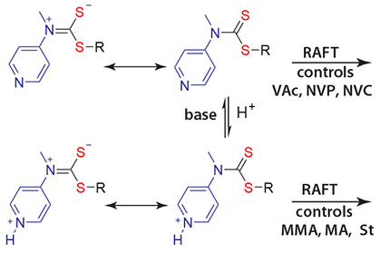 raft-agent-capable-of-polymerization 切り替え可能なRAFT剤