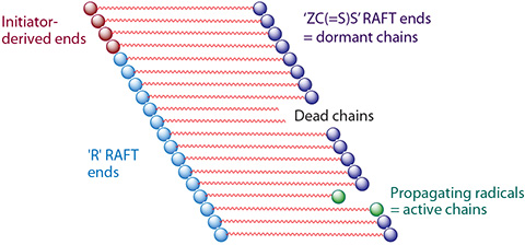 raft-polymerization-schematic RAFT重合の概略図
