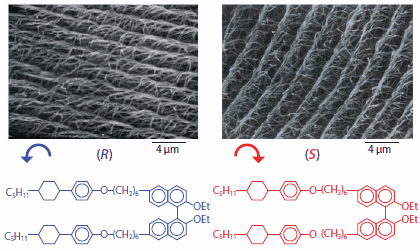 SEM photographs of helical polyacetylene films N*-LCを用いて合成したH-PAの走査電子顕微鏡写真