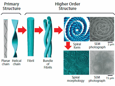 Hierarchical spiral morphology of helical polyacetylene film. H-PAの一次構造から高次構造までの階層的らせん構造。