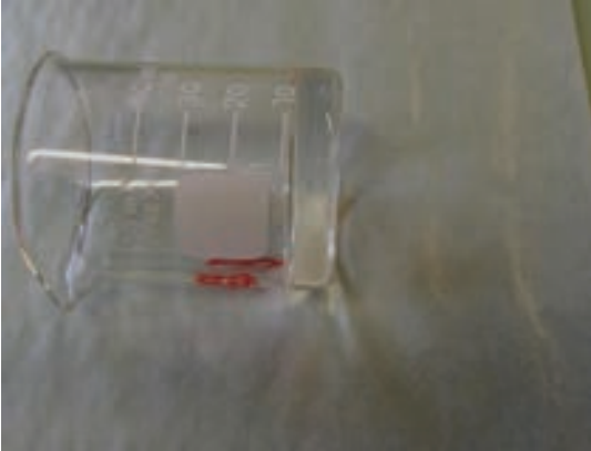 Beaker containing melting gel before heating on its side Beaker containing melting gel before heating on its side
