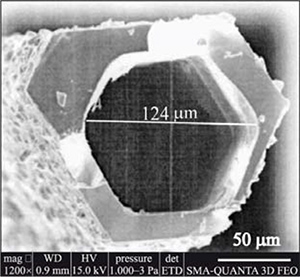 SEM micrograph of CrSi2 tubes obtained CrSi2チューブのSEM画像