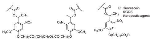 Photodegradable o-NB moieties incorporated into hydrogel backbone and for therapeutic agent release