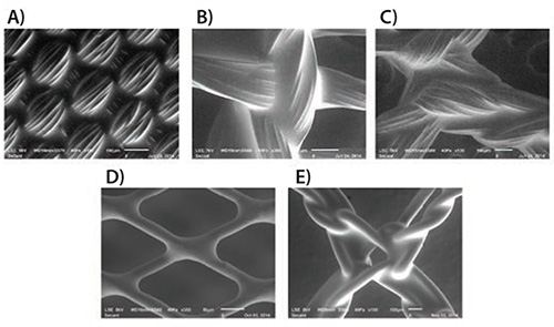 SEM images of Regenerez coatings deposited SEM images of Regenerez coatings deposited