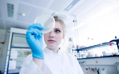 Scientist checks for microbial growth in R2A agar culture media