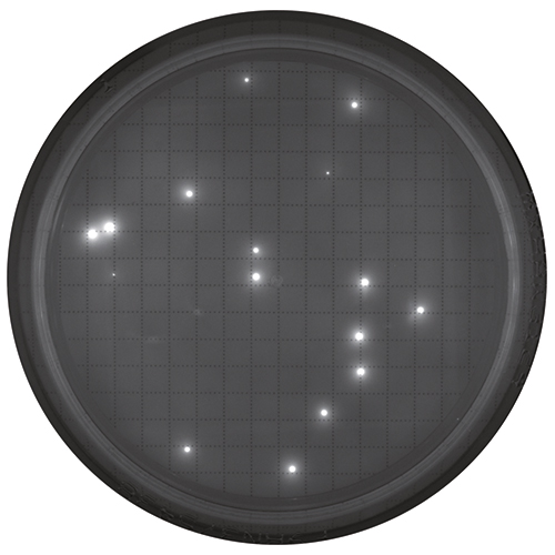Agar plate after fluorescent staining Keywords: Fluorescent staining, microbial testing, rapid microbial detection Agar plate after fluorescent staining for rapid microbial detection with the Milliflex® Quantum system