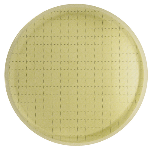 Agar plate before incubation Agar plate, microbial membrane Alt text: Agar plate with membrane, no bacteria colonies visible