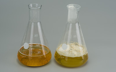 Dissolving of granulated and powdered culture media in water Two laboratory flasks side by side; the left flask contains a dark amber liquid, while the right flask holds a lighter yellow-brown liquid with some sediment, both set against a gray background.