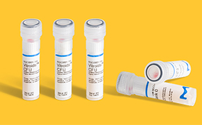 Vitroids™ and LENTICULE<sup>®</sup> discs tubes Certified reference material - Vitroids™ and LENTICULE® discs are packed individually in vials. The vials have a special screwcap with seal and contain a desiccant at the bottom.