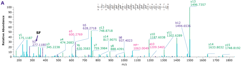 Four product ion spectra providing the sequence coverage of VP1, VP2, and VP3 N-termini as well as C-terminus of each indicating the observed mass fragments.