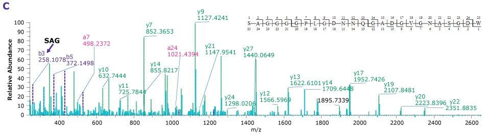 Four product ion spectra providing the sequence coverage of VP1, VP2, and VP3 N-termini as well as C-terminus of each indicating the observed mass fragments.