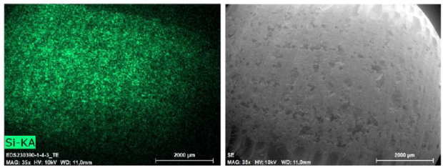 SEM-EDX image of the tablets showed a highly homogeneous distribution of silica particles. 
