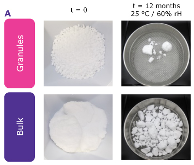 Appearance of Granulated Urea Following 12 Month Stability Study Granulated urea showed significantly less caking than non-granulated bulk materials