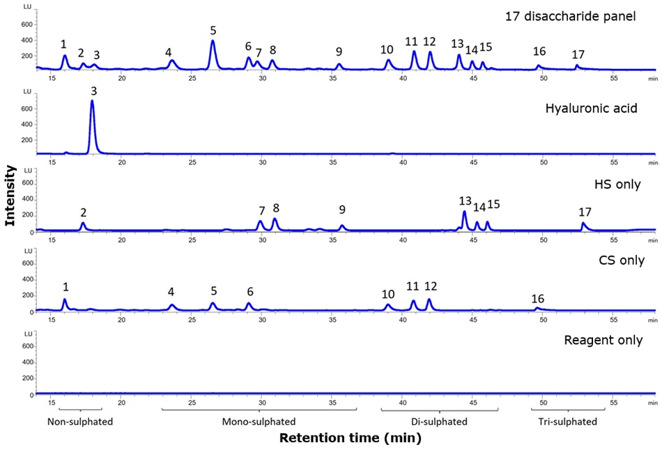 Separation of 2-AB labelled GAG disaccharides Chromatograms labeled “17 disaccharide panel”, “Hyaluronic acid”, “HS only”, “CS only”, and “Reagent only” showing intensity (LU) vs time (min) with peaks numbered 1–17; regions marked Non-sulphated, Mono-sulphated, Di-sulphated, and Tri-sulphated.