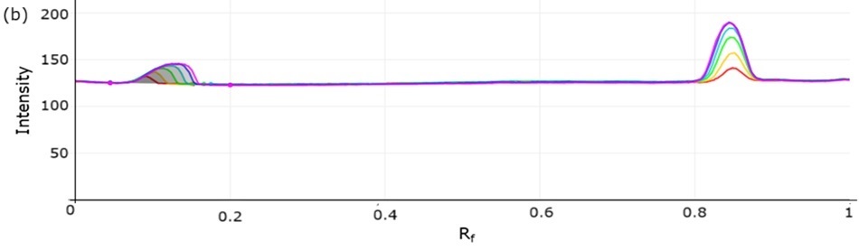 A two-dimensional densitogram showing the same calibration tracks plotted against Rf values on the x-axis and intensity on the y-axis. Here, the same-colored lines show two main sets of peaks corresponding to different compounds, with the higher Rf peaks being sharp and symmetrical, indicating consistent detection. The overlapping stacked nature of the lines demonstrates the increasing concentration gradient used for calibration.