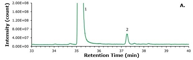 Zoomed comparison of compounded semaglutide Zoomed chromatogram showing compounded semaglutide main peak and increased N-terminal histidine modification impurity in the compounded sample.