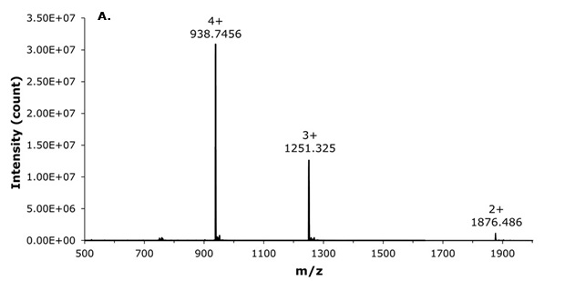 MS spectra of liraglutide charge states. Mass spectrum of liraglutide showing peaks for charge states 4+, 3+, and 2+ with corresponding m/z values.