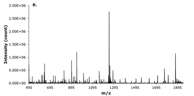 MS/MS BBCID spectra of liraglutide Tandem mass spectrum showing fragmentation pattern of liraglutide with multiple fragment ions across the m/z range.