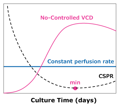 In dynamic perfusion, VCD is allowed to reach a maximum level while running at a constant perfusion rate, reaching a minimum CSPR. In steady state perfusion, a minimum CSPR is not reached as cell growth is controlled through bleed, maintaining a constant VCD below the maximum.