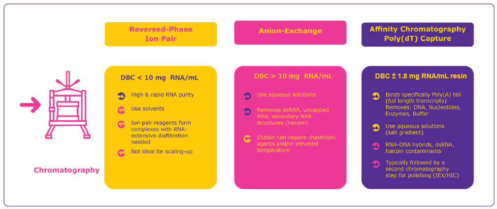 Comparison of reverse-phase ion-pair, anion exchange and affinity chromatography for mRNA purification, highlighting advantages and drawbacks of each technology to enable an informed decision.
